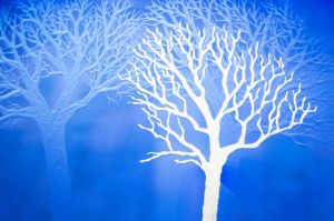 CWP-Kayo-06 copy.jpg